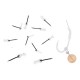 Zfish Bait Spike „L“ silikoninis laikiklis 15 mm
