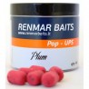 Pop-Ups Plum (Dumbells) 16mm Renmar